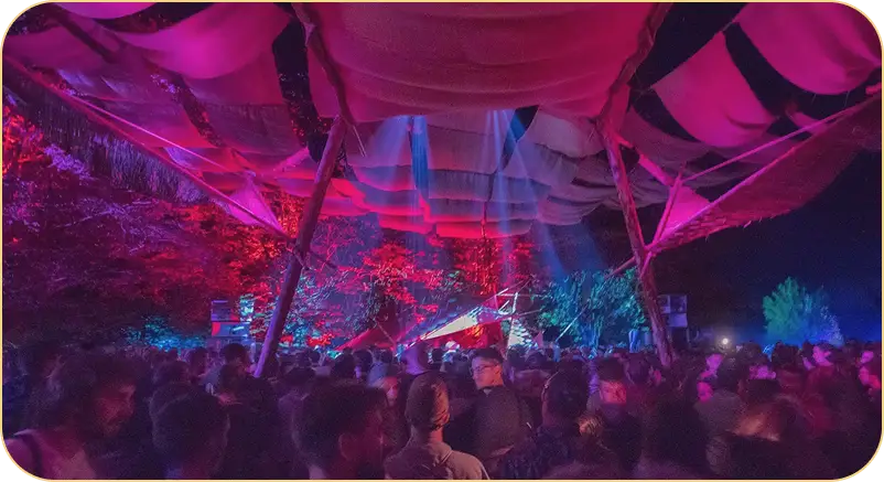 Crowd at a night music festival under pink and blue stage lights